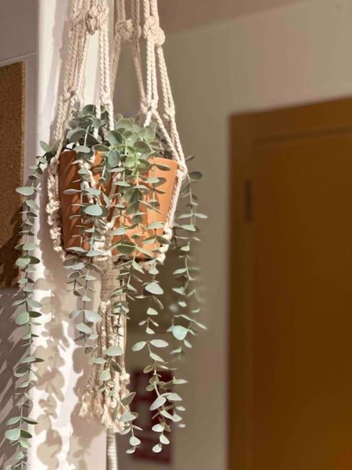 Apartamento El Picu Collanzo Esterno foto